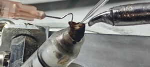 insémination artificiel des reine d'abeilles